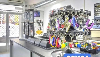 Beltrán Llaves de coche y Soluciones electrónicas automoción - Castellón De La Plana