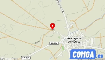 Boyero Rogado C - Arabayona De Mógica