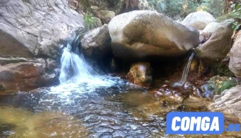 Gavilanes - Gavilanes