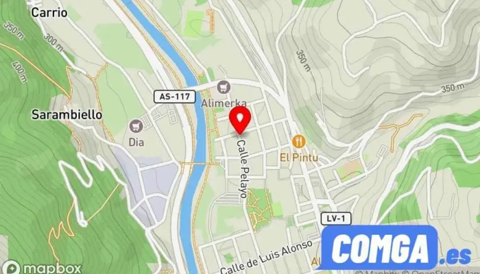 mapa de ASN cerrajería Cerrajero en Pola de Laviana