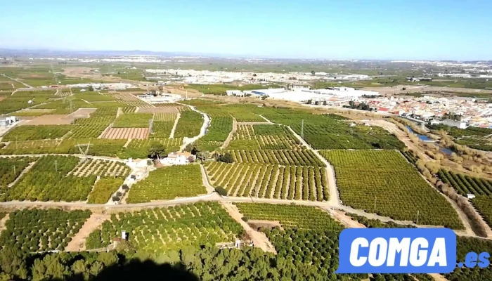 Castelló -  Vídeos - Castelló