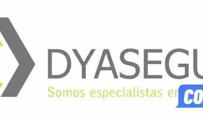 Cerrajeros 24h Dyasegur -  Del Propietario - Almería
