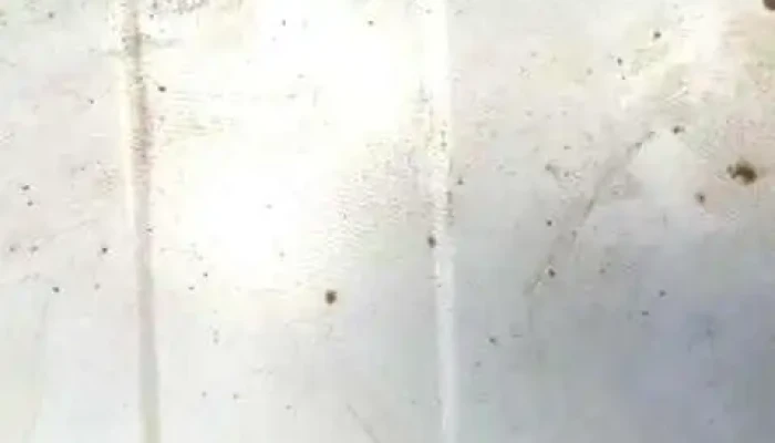 Cerrajería Soporte Metalico Fragoso -  Vídeos - Valdemoro