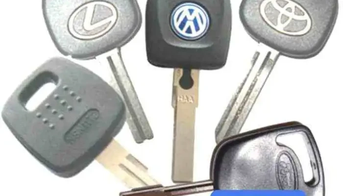Duplicado De Llaves Multiservicios Campillo Del Propietario - Jaén