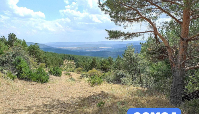 El Royo -  Promocion - Soria