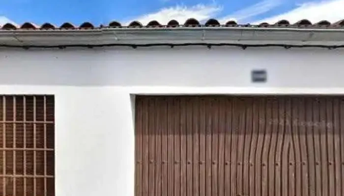 Pedro López Yelmo -  Catalogo - Alía