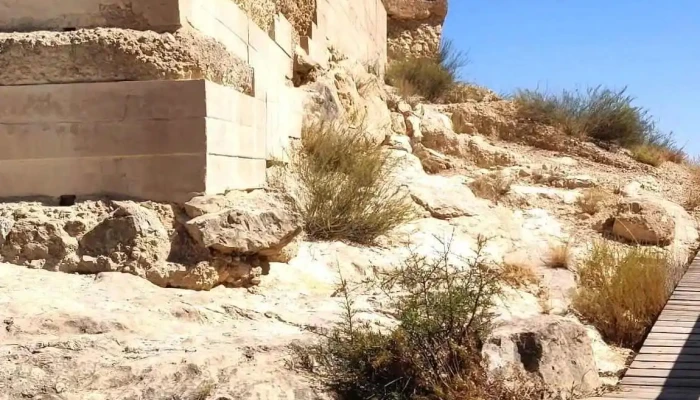 Pliego -  Vídeos - Murcia