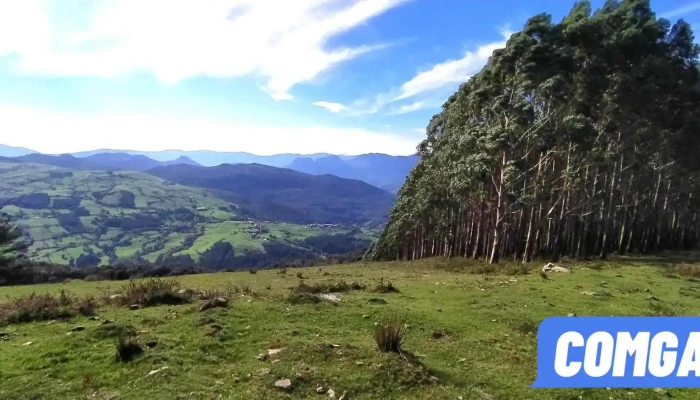 Rasines -  Puntaje - Cantabria
