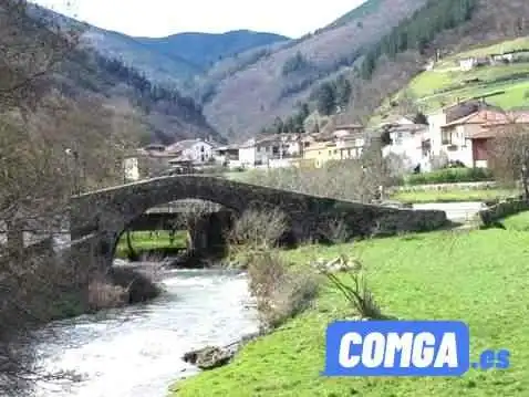 Tineo -  Montaña - Tineo