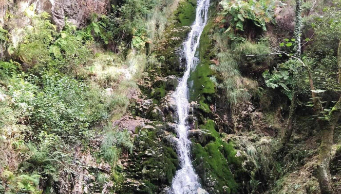 Valle De Oro -  Telefono - Valle de Oro, O Valadouro
