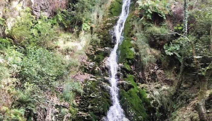 Valle de Oro - Valle De Oro, O Valadouro