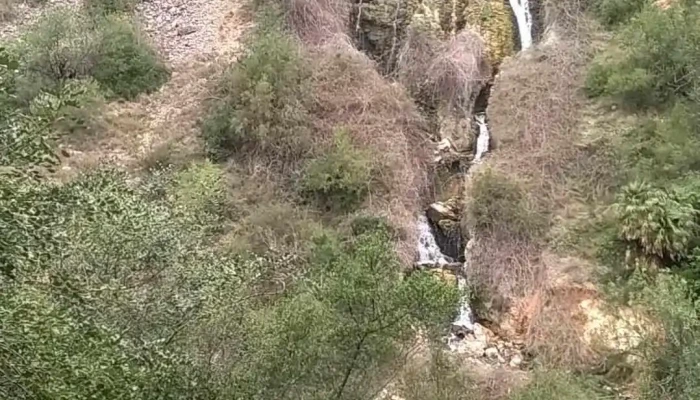 Villalonga -  Vídeos - Valencia